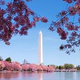 Illustration for article titled DC Spring Meetup!